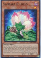 Samsara D Lotus