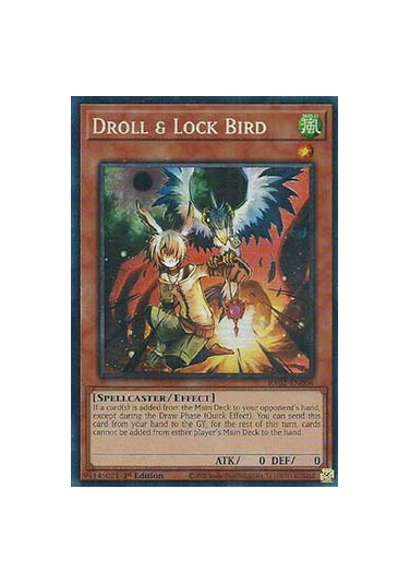 Droll & Lock Bird (V.11 - Collectors Rare)