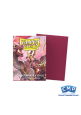 100 Dragon Shield Sleeves - Dual Matte Pomegranate/Gold Standard