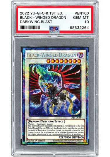Yu-Gi-Oh! Black-Winged Dragon - 1st Edition PSA 10 ENG