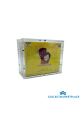 Acrylic Case One Piece Display Classic Box Acrylic Case One Piece Display Classic Box