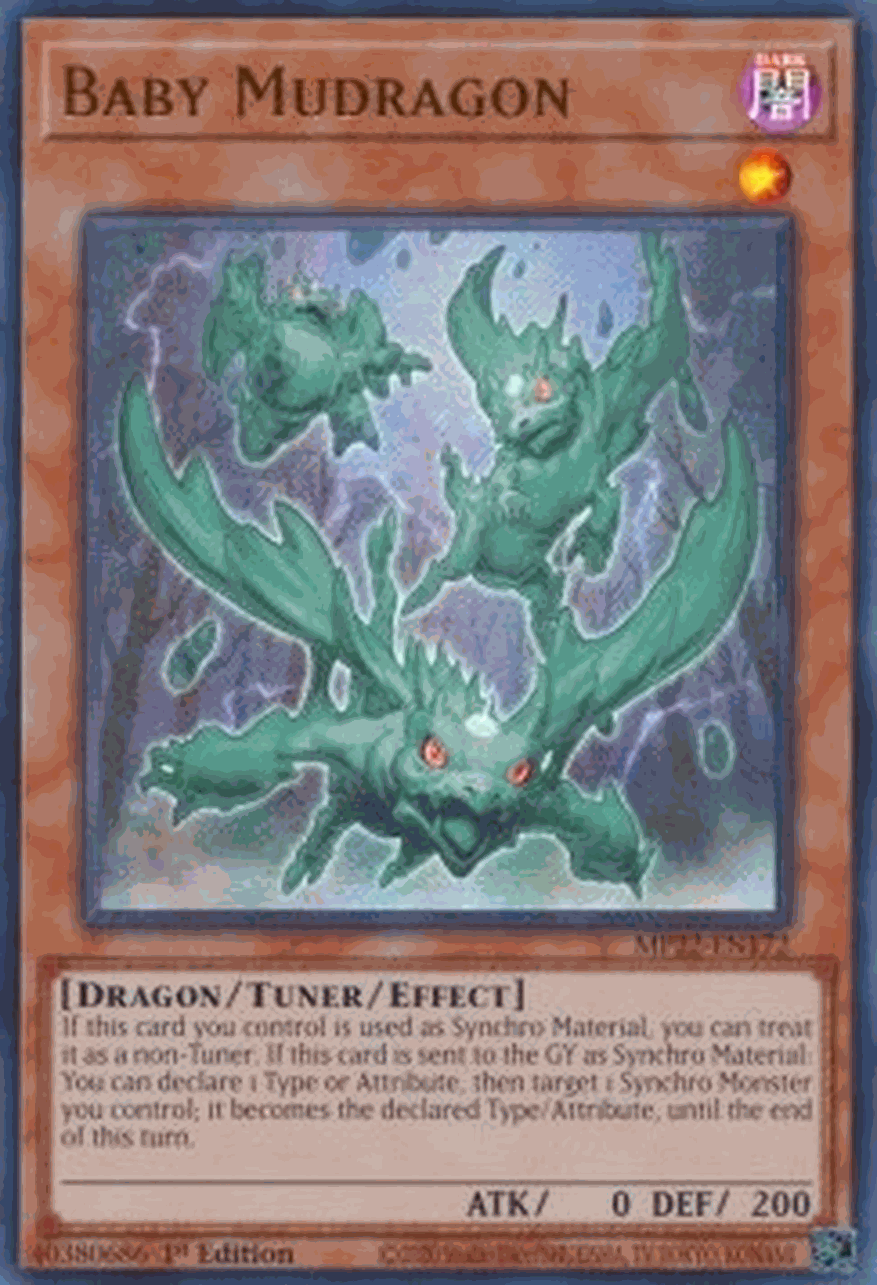 Baby Mudragon
