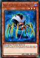 Ally of Justice Cycle Reader