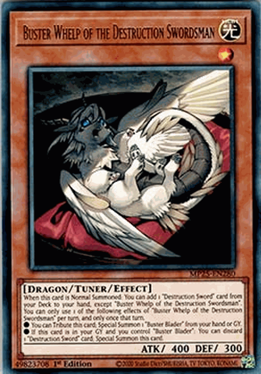 Buster Whelp of the Destruction Swordsman