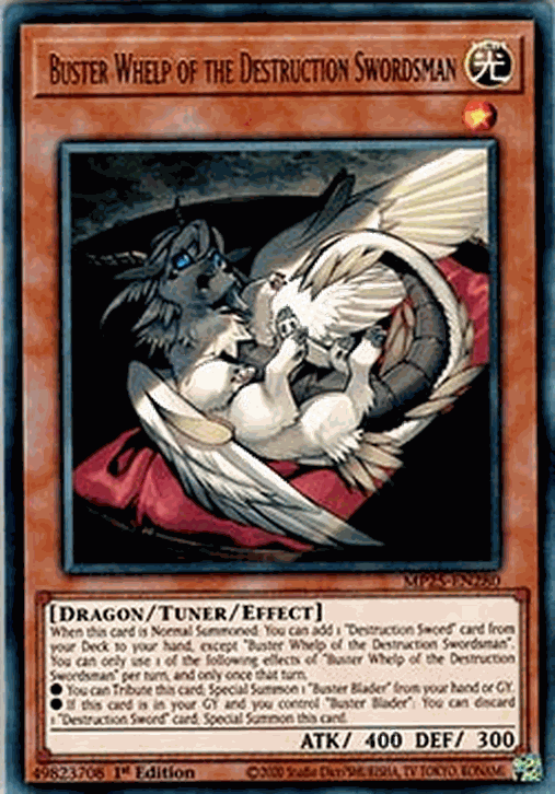 Buster Whelp of the Destruction Swordsman
