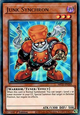 Junk Synchron