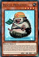 Rescue Hedgehog