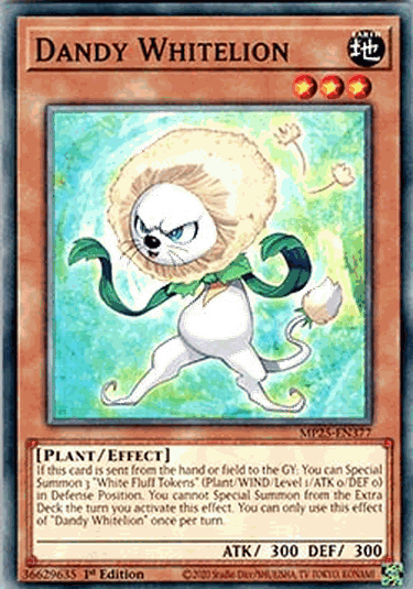 Dandy Whitelion