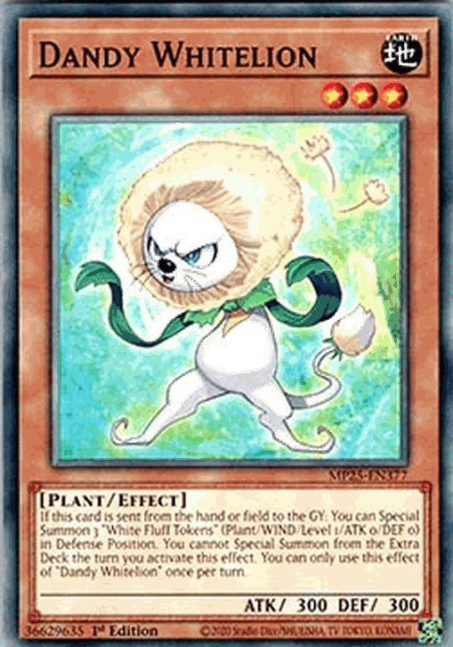 Dandy Whitelion