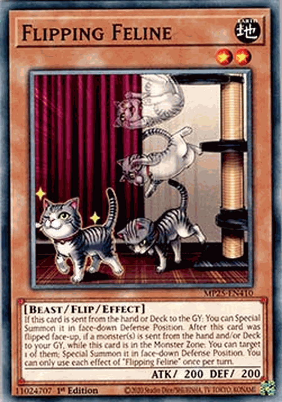Flipping Feline