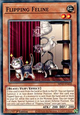 Flipping Feline