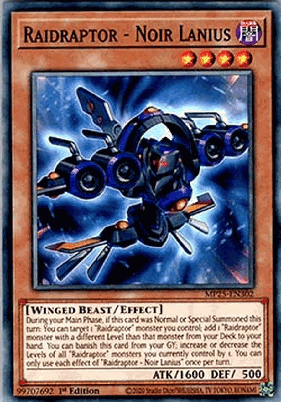 Raidraptor - Noir Lanius