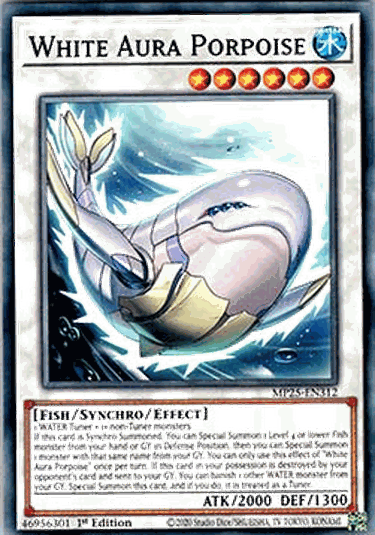 White Aura Porpoise
