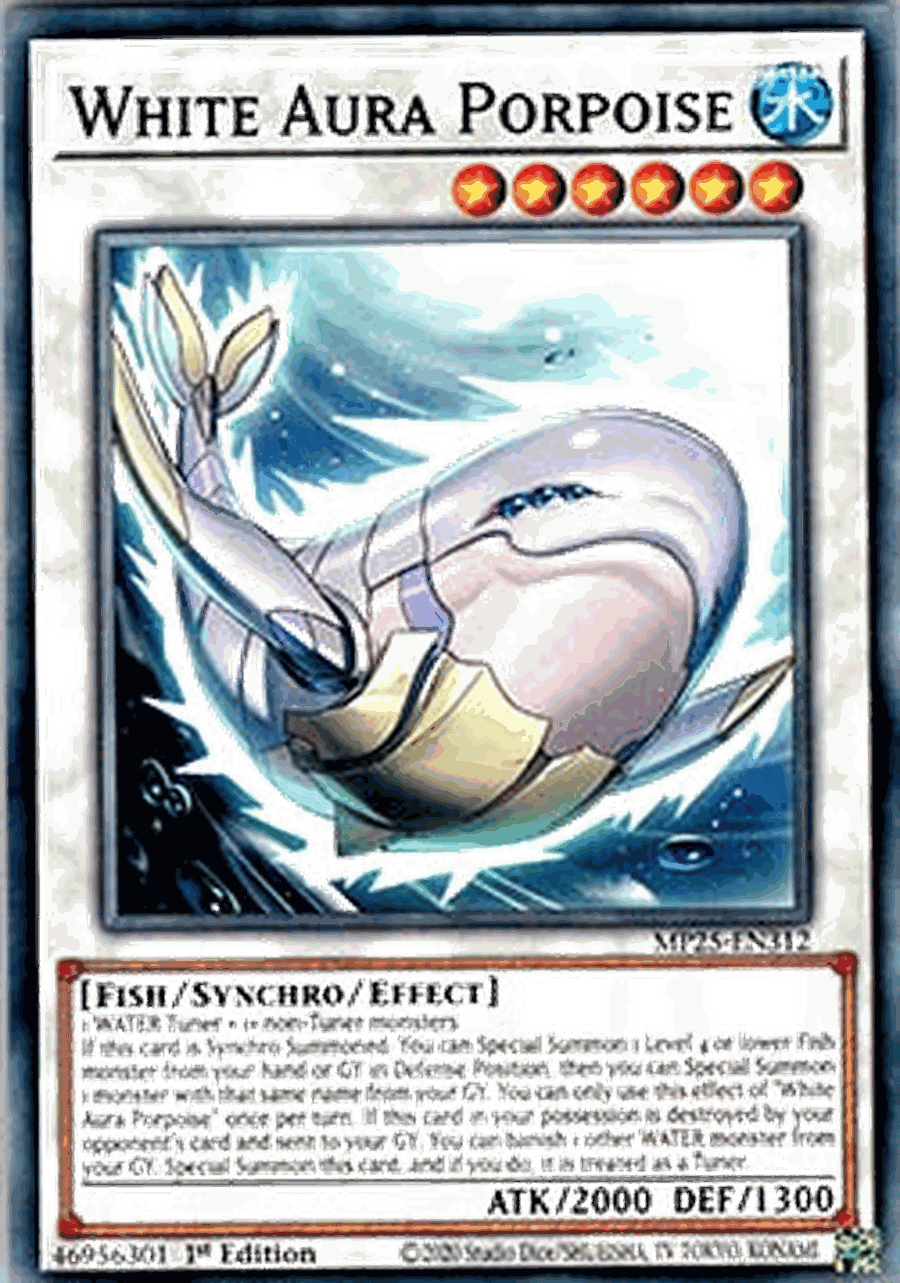 White Aura Porpoise