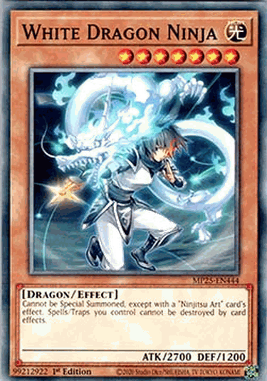 White Dragon Ninja