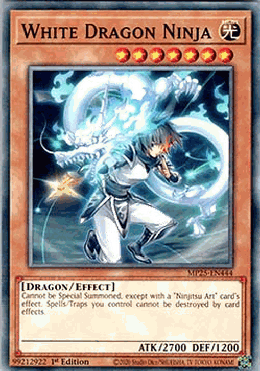 White Dragon Ninja
