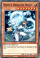 White Dragon Ninja