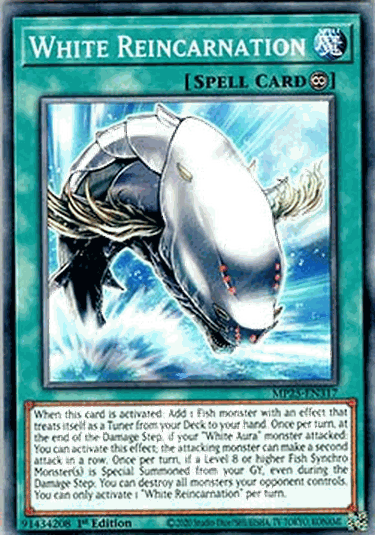 White Reincarnation