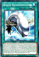 White Reincarnation