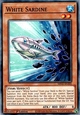 White Sardine