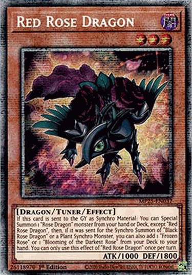 Red Rose Dragon