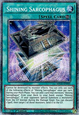 Shining Sarcophagus