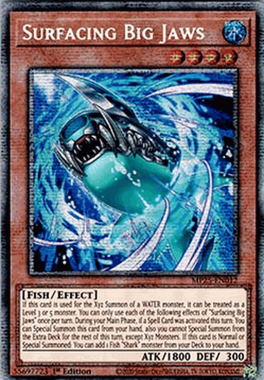Surfacing Big Jaws