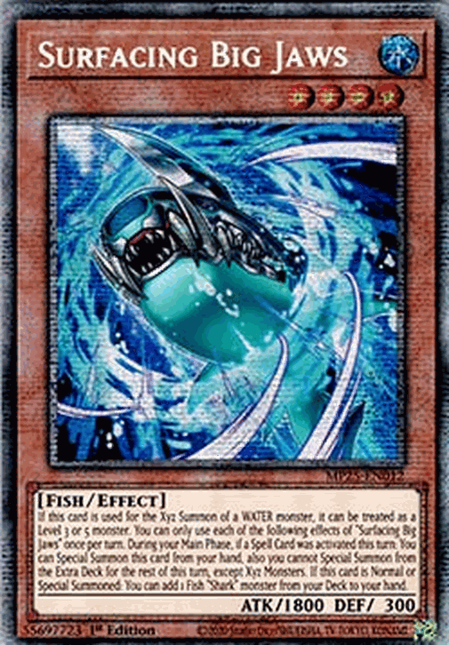 Surfacing Big Jaws