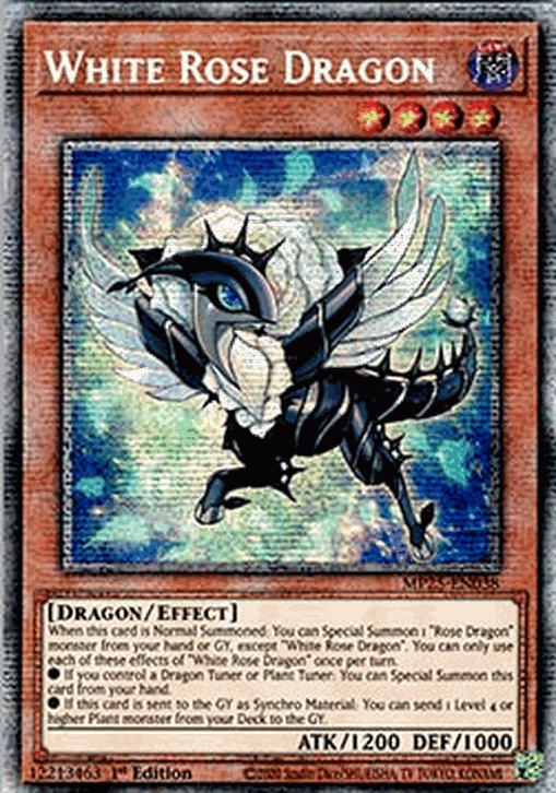 White Rose Dragon