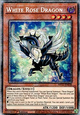 White Rose Dragon