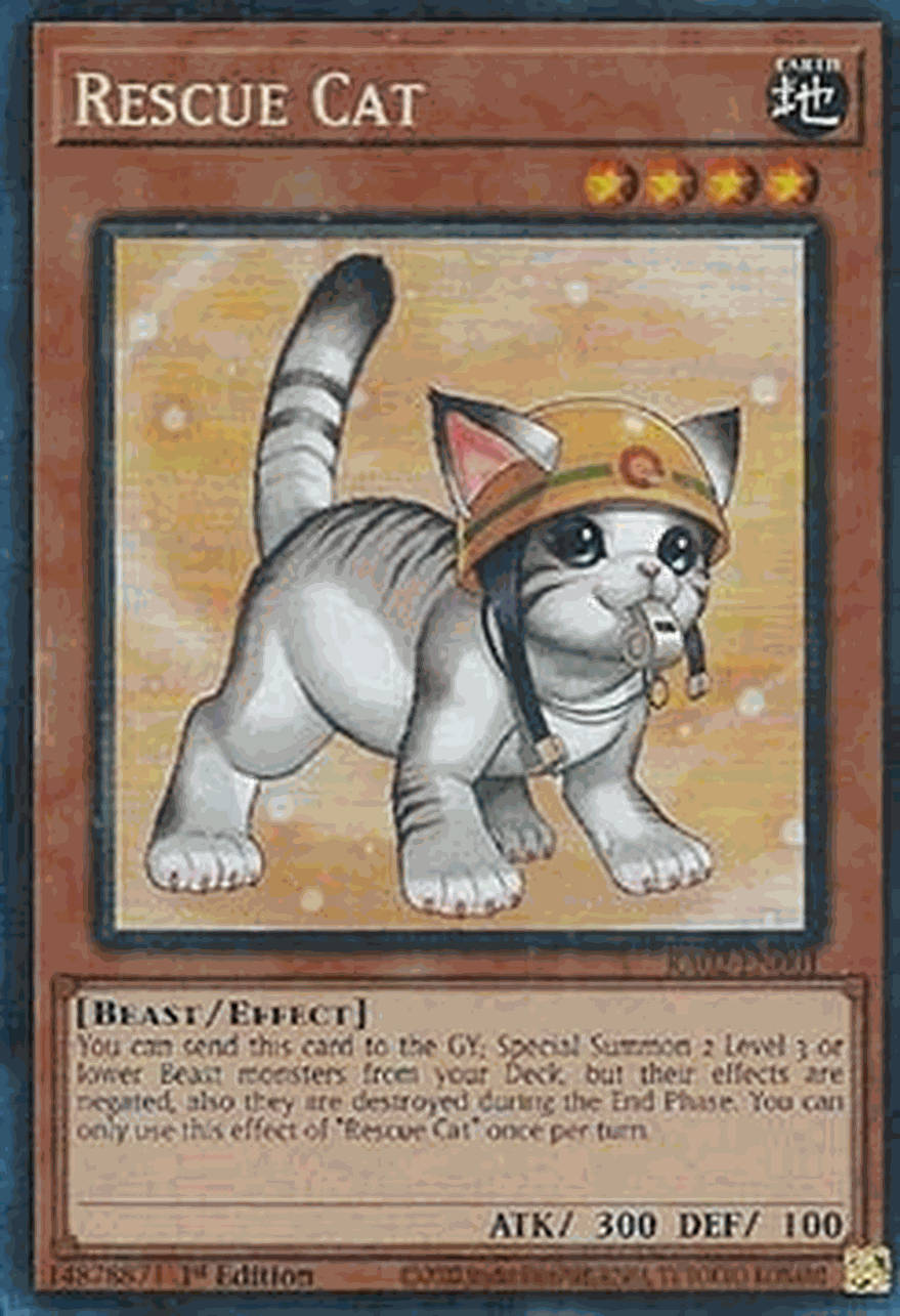 Rescue Cat (V.12 - Collectors Rare)