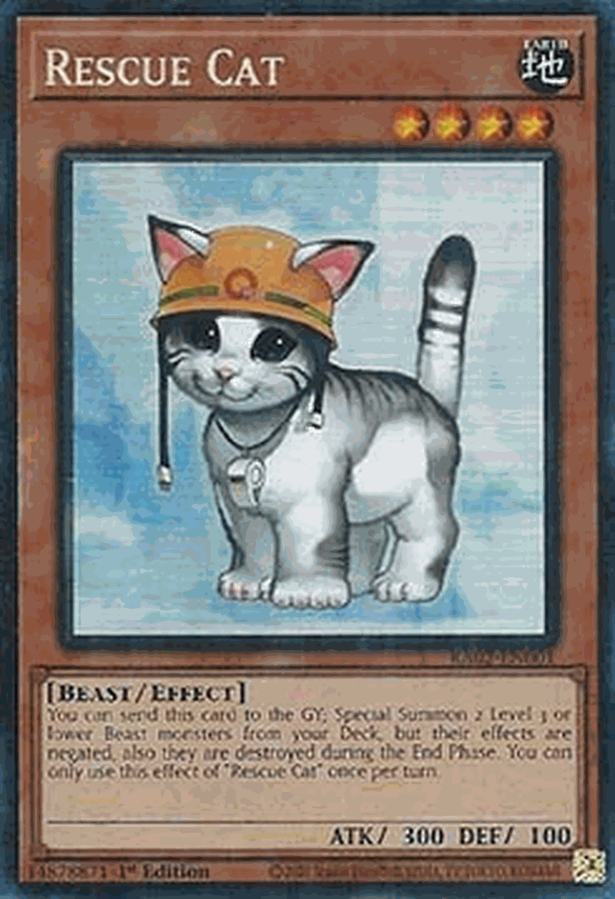 Rescue Cat (V.11 - Collectors Rare)