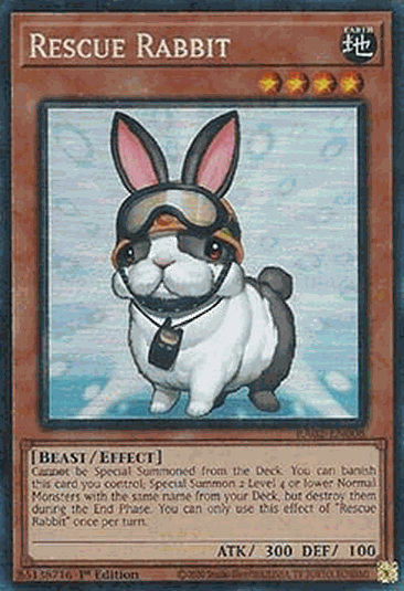 Rescue Rabbit (V.6 - Collectors Rare)
