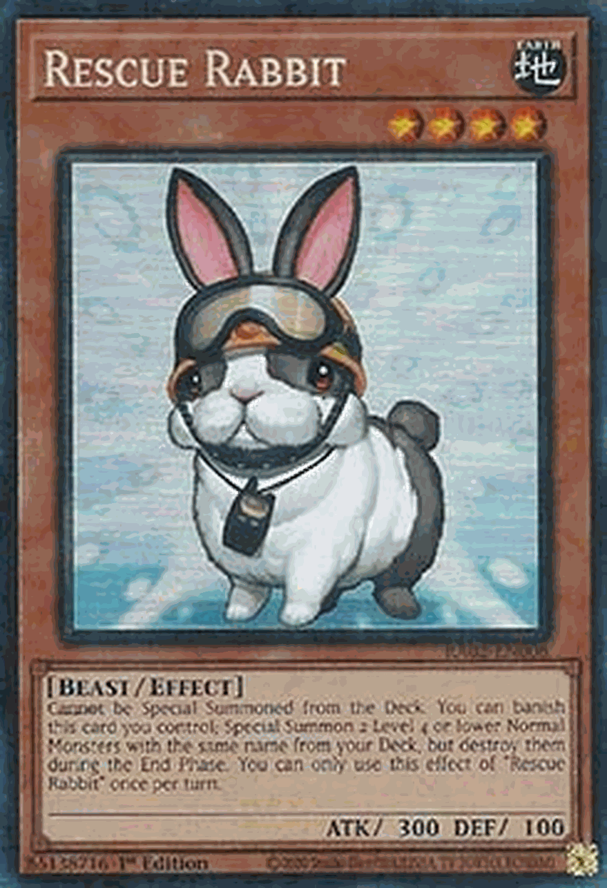 Rescue Rabbit (V.6 - Collectors Rare)