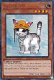 Rescue Cat (V.13 - Ultimate Rare)