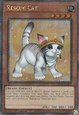 Rescue Cat (V.10 - Quarter Century Secret Rare)