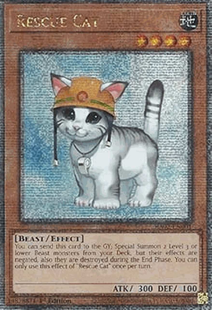 Rescue Cat (V.9 - Quarter Century Secret Rare)