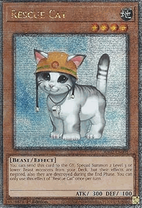 Rescue Cat (V.9 - Quarter Century Secret Rare)