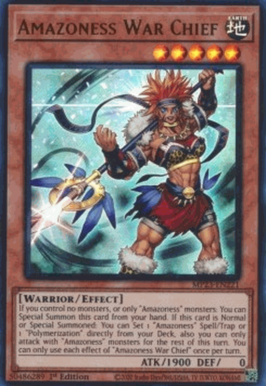 Amazoness War Chief