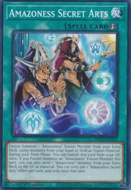 Amazoness Secret Arts