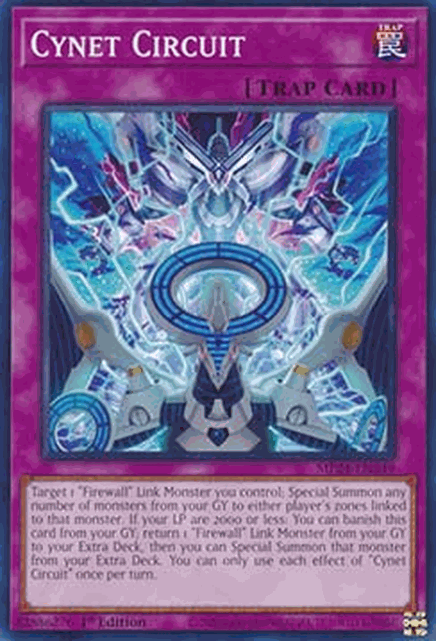 Cynet Circuit