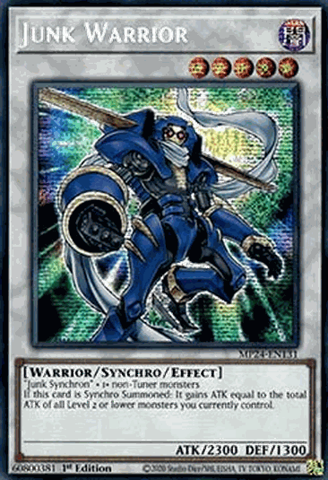Junk Warrior
