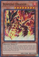 Burning Dragon