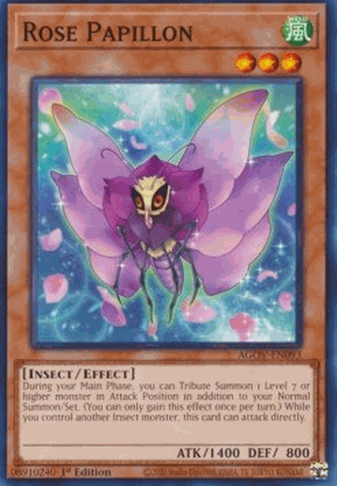 Rose Papillon