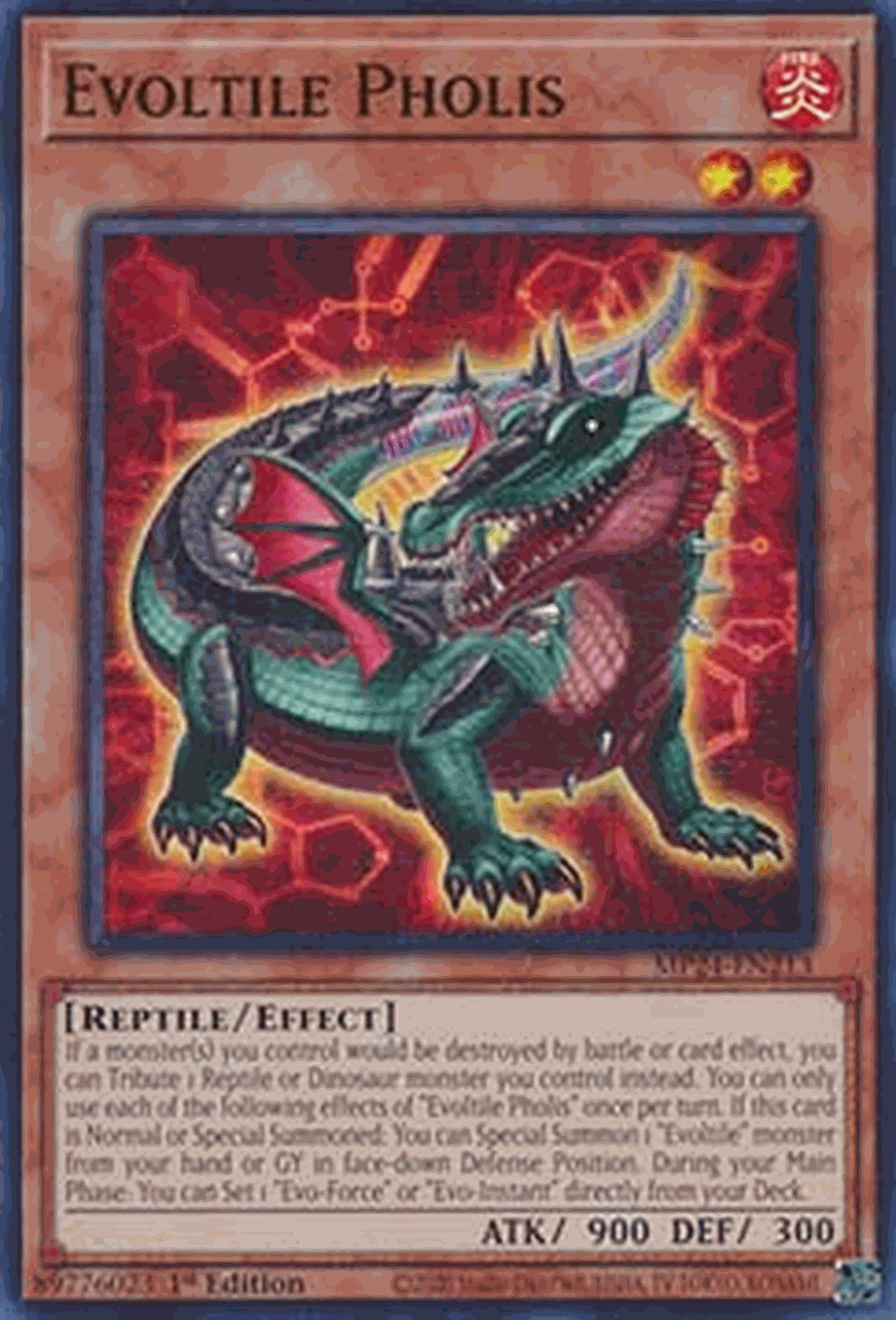 Evoltile Pholis