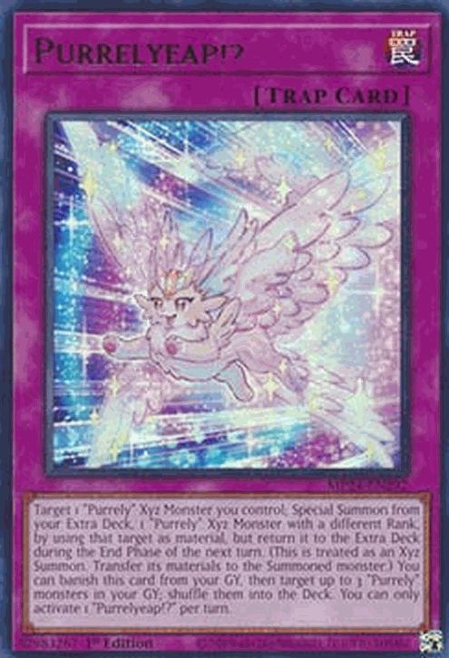 Purrelyeap!?