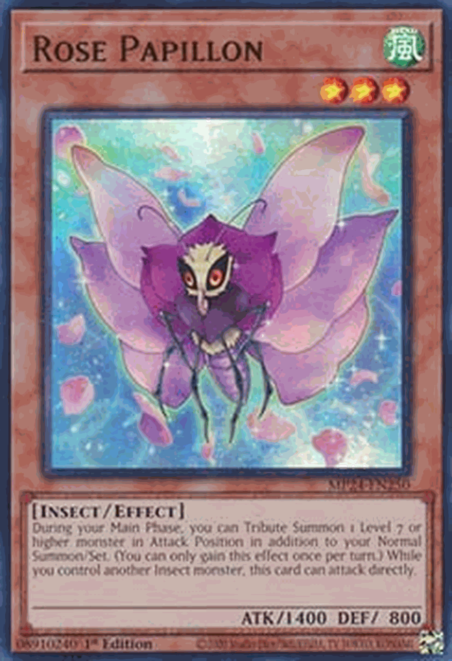 Rose Papillon
