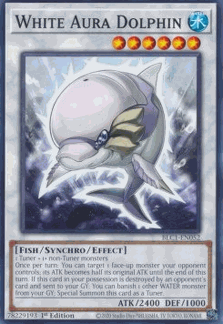 White Aura Dolphin