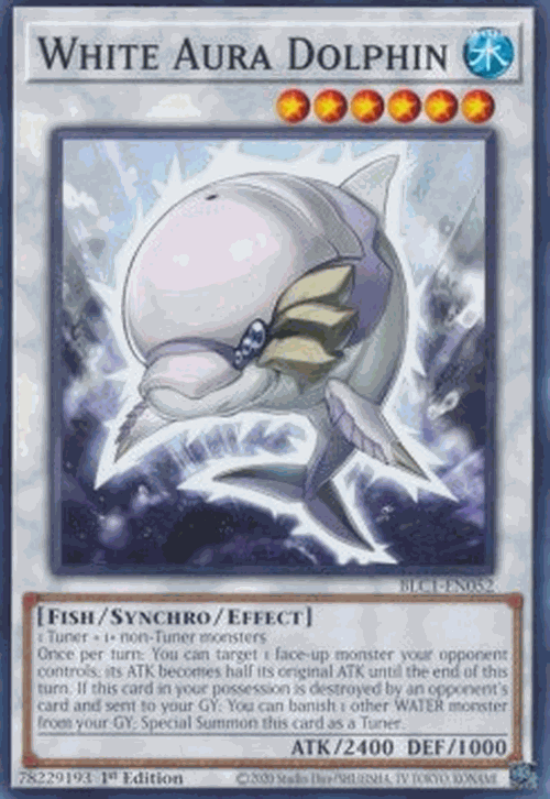 White Aura Dolphin