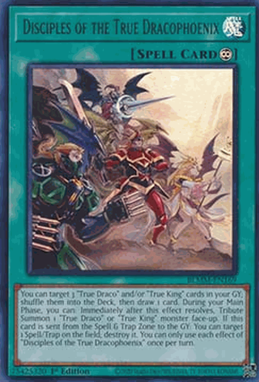 Disciples of the True Dracophoenix